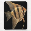 Search for angelfish mouse mats Aquatic
