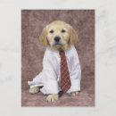 Search for relativity postcards Dog