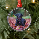 Search for labrador retriever christmas tree decorations Cute