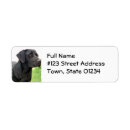 Search for black labs return address labels Labrador retriever