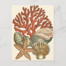 Search for sealife Nautical