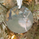 Search for stage christmas tree decorations Ballet