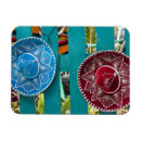 Search for mexico souvenir magnets Tropical