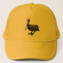Search for pelican hats Wildlife