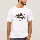 Search for tarantula tshirts Hairy