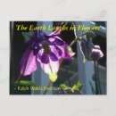Search for columbine postcards Nature
