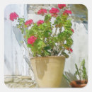 Search for geranium stickers Watercolor