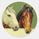 Search for show horse stickers Vintage