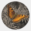 Search for orange bug stickers Insect