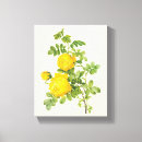 Search for vintage floral canvas prints Gardens