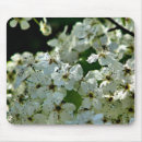 Search for citrus mouse mats Floral