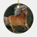 Search for miniature horse christmas tree decorations Bob langrish