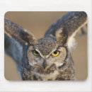 Search for looking up mouse mats Photography