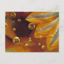 Search for abstract flowers postcards Yellow