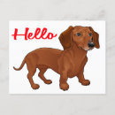 Search for dachshund puppy postcards Puppies