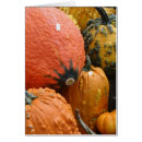 Search for squash photography Autumn