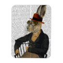 Search for hare magnets Animals