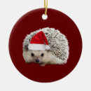 Search for hedgehog christmas tree decorations Santa