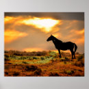 Search for wild horse posters Equine