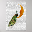 Search for peacock posters Flowers