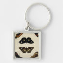 Search for insect key rings Butterflies