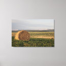 Search for bale art Rural
