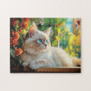 Search for ragdoll cats puzzles Kitten
