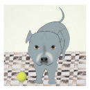 Search for staffy posters Puppy