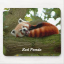 Search for red panda mouse mats Mammal