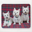 Search for westies mouse mats Dog