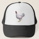 Search for the yard hats Bird