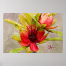 Search for protea decor Hawaii