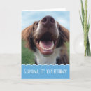 Search for furry birthday cards Brown