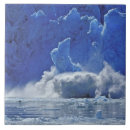 Search for alaska tiles Jaynes gallery