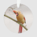 Search for female cardinal christmas tree decorations Winter