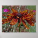 Search for orange daisy art Botanical