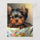 Search for yorkie lover postcards Puppy