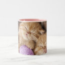 Search for funny cat quote mugs Trendy