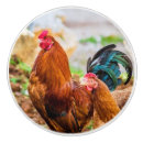 Search for rooster knobs and pulls Kitchen