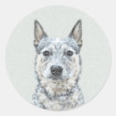 Search for blue heeler stickers Cattle