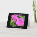 Search for petunias cards Flower