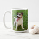Search for cheeks mugs Pet