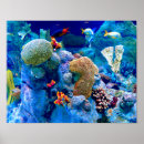 Search for tropical reef posters Colorful