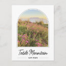 Search for table mountain souvenirs Africa