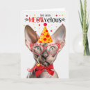 Search for sphynx cat gifts Pets