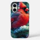 Search for cardinals iphone cases Nature