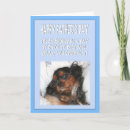 Search for eyeglasses cards Cavalier king charles spaniel