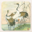 Search for oriental coasters Bird