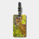 Search for odocoileus accessories Outdoor