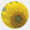 Search for kevin stickers Superstock